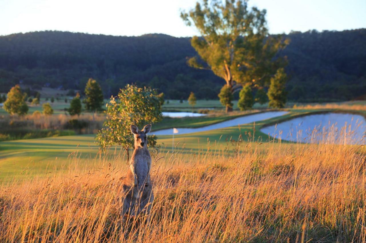 Chateau Yering Hotel Yarra Glen Buitenkant foto